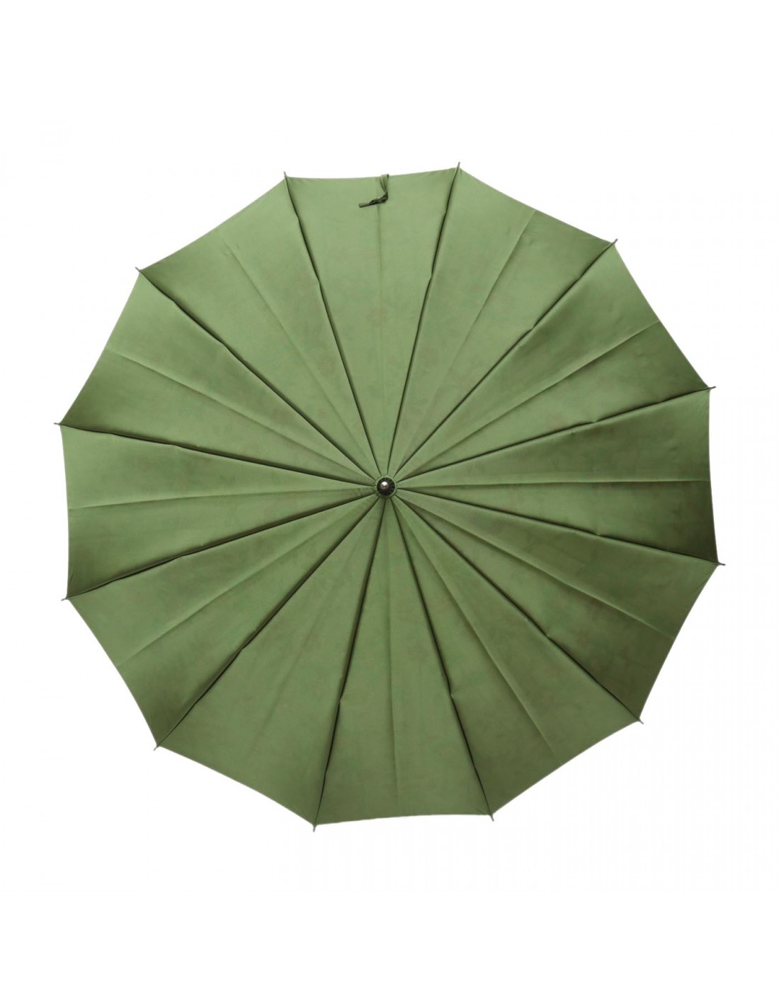 Damen Regenschirm Blumenmuster Grün